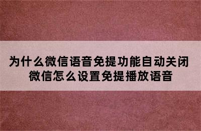 为什么微信语音免提功能自动关闭 微信怎么设置免提播放语音